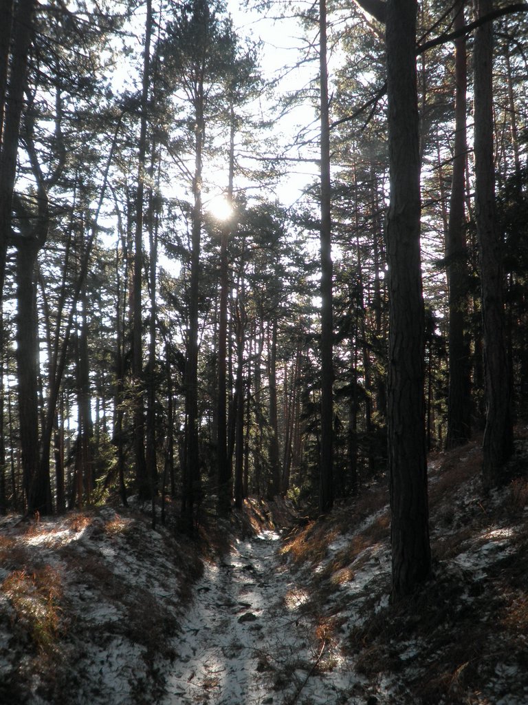 P1050077.JPG