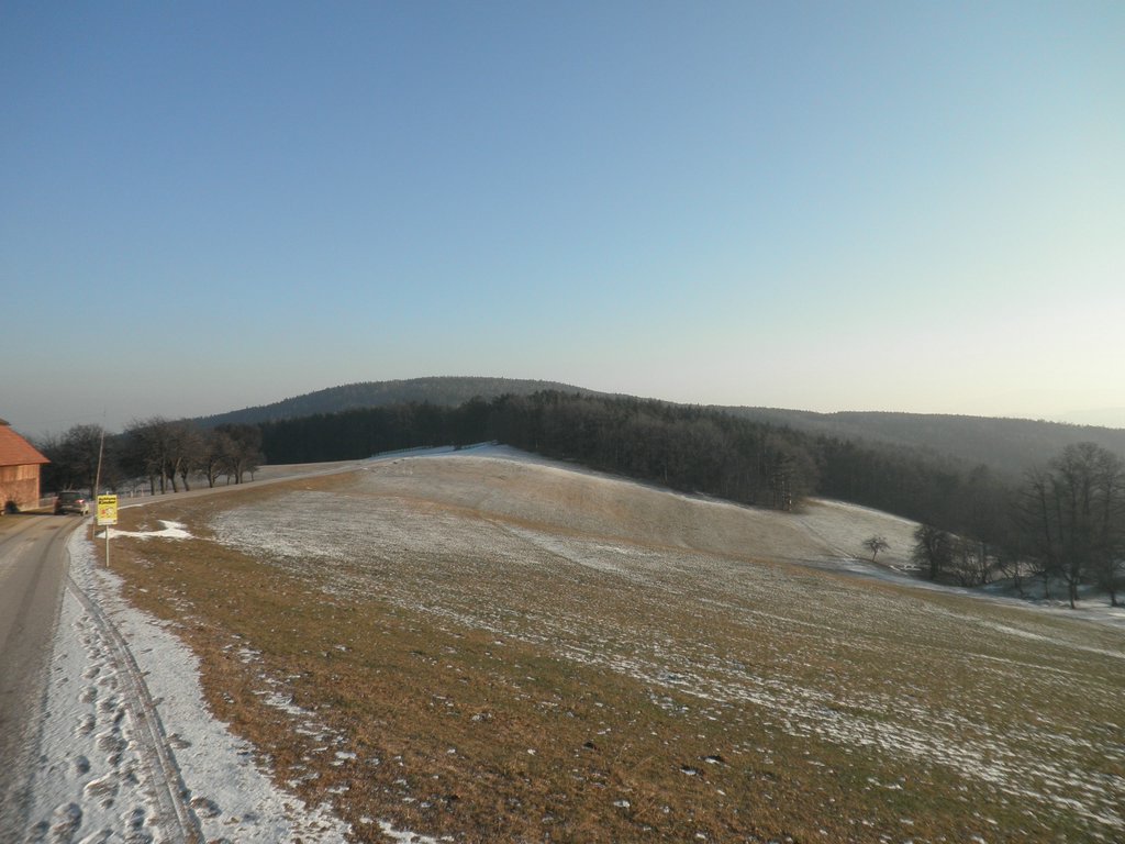 P1050092.JPG