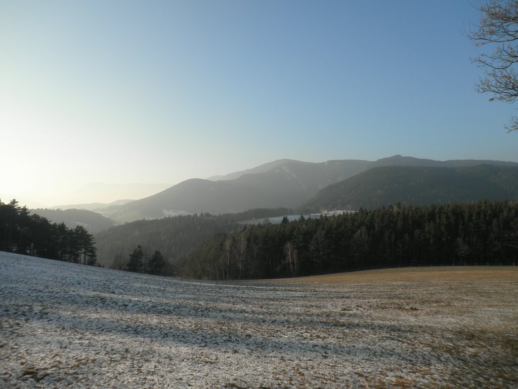 P1050099.JPG