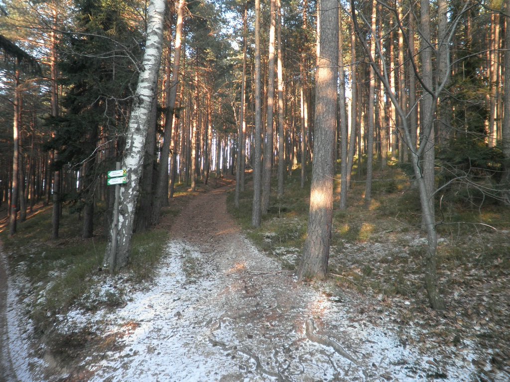 P1050100.JPG