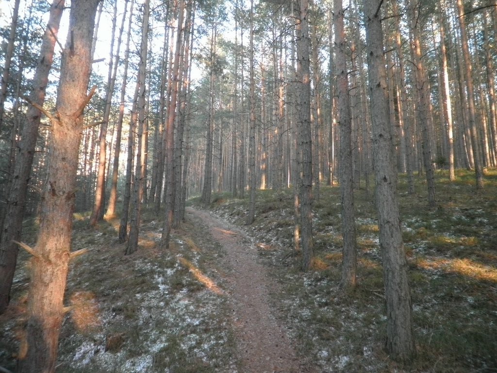 P1050102.JPG