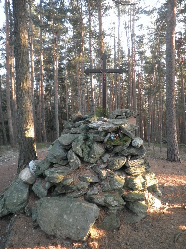 P1050103.JPG