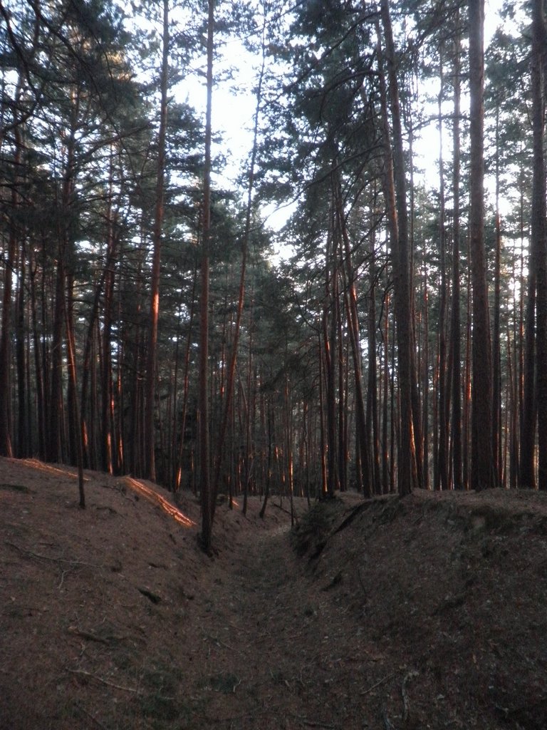 P1050115.JPG