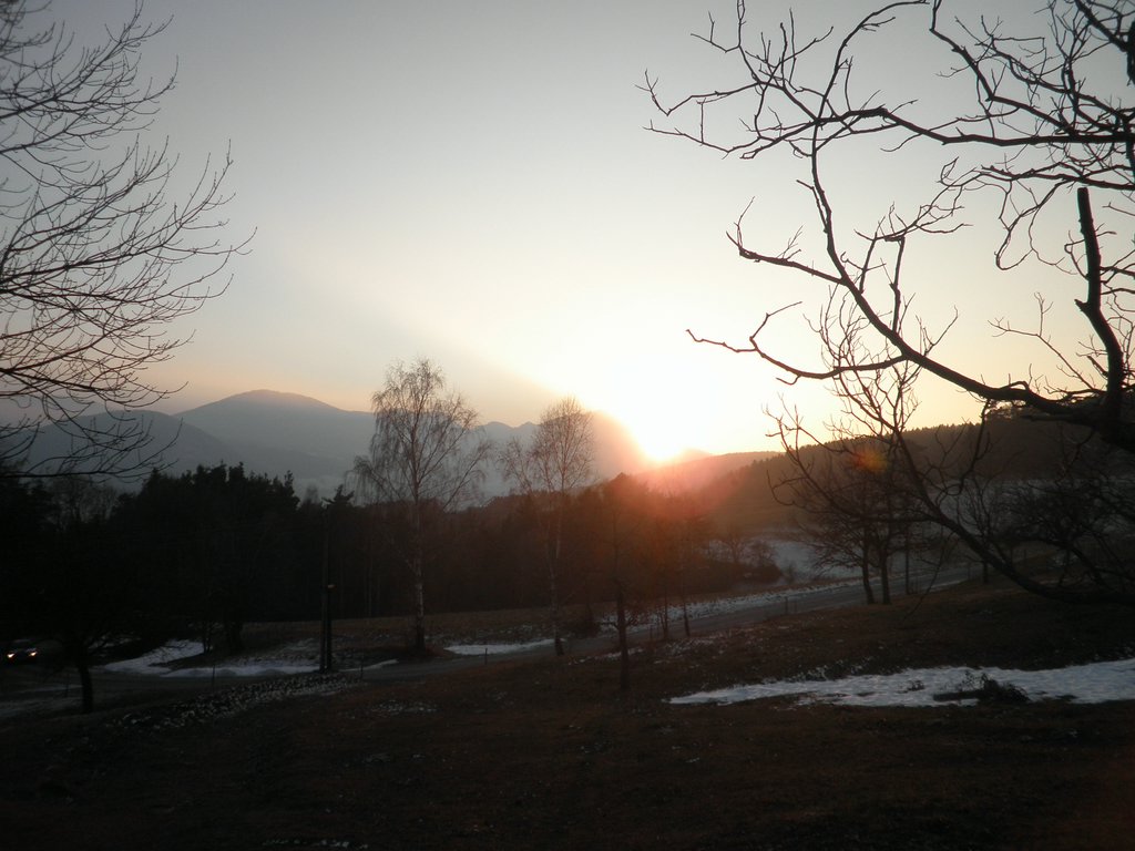 P1050116.JPG