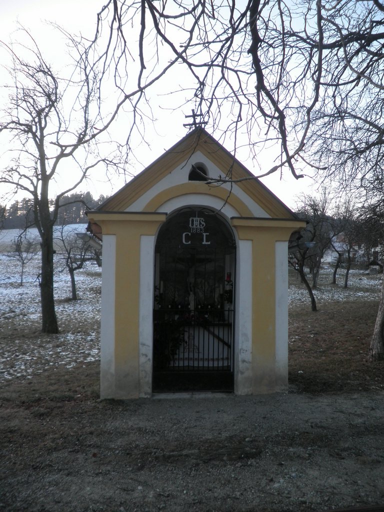 P1050119.JPG
