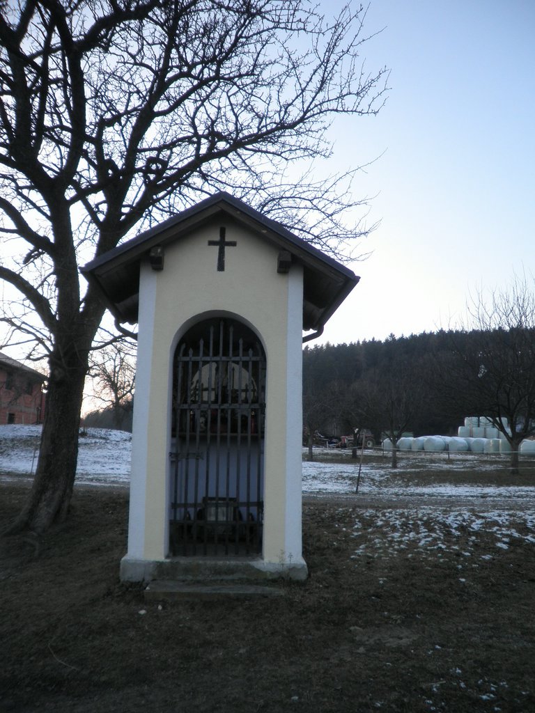 P1050124.JPG