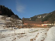 P1050007.JPG