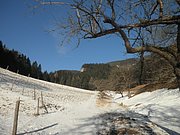 P1050008.JPG