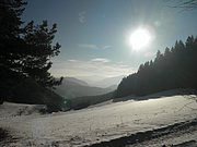 P1050010.JPG