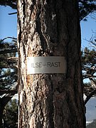 P1050016.JPG