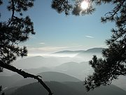 P1050019.JPG