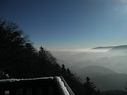 P1050029.JPG