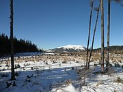 P1050051.JPG