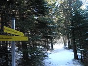 P1050054.JPG