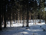 P1050055.JPG
