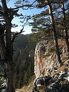 P1050069.JPG