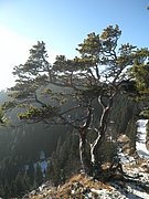 P1050070.JPG