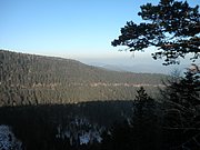 P1050075.JPG