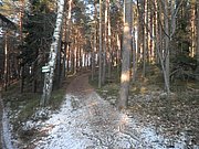 P1050100.JPG
