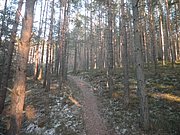 P1050102.JPG