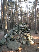 P1050103.JPG