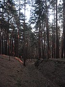P1050115.JPG