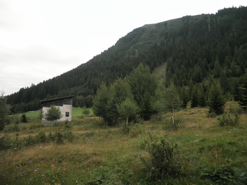 P8180322.JPG