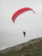 P8180341.JPG