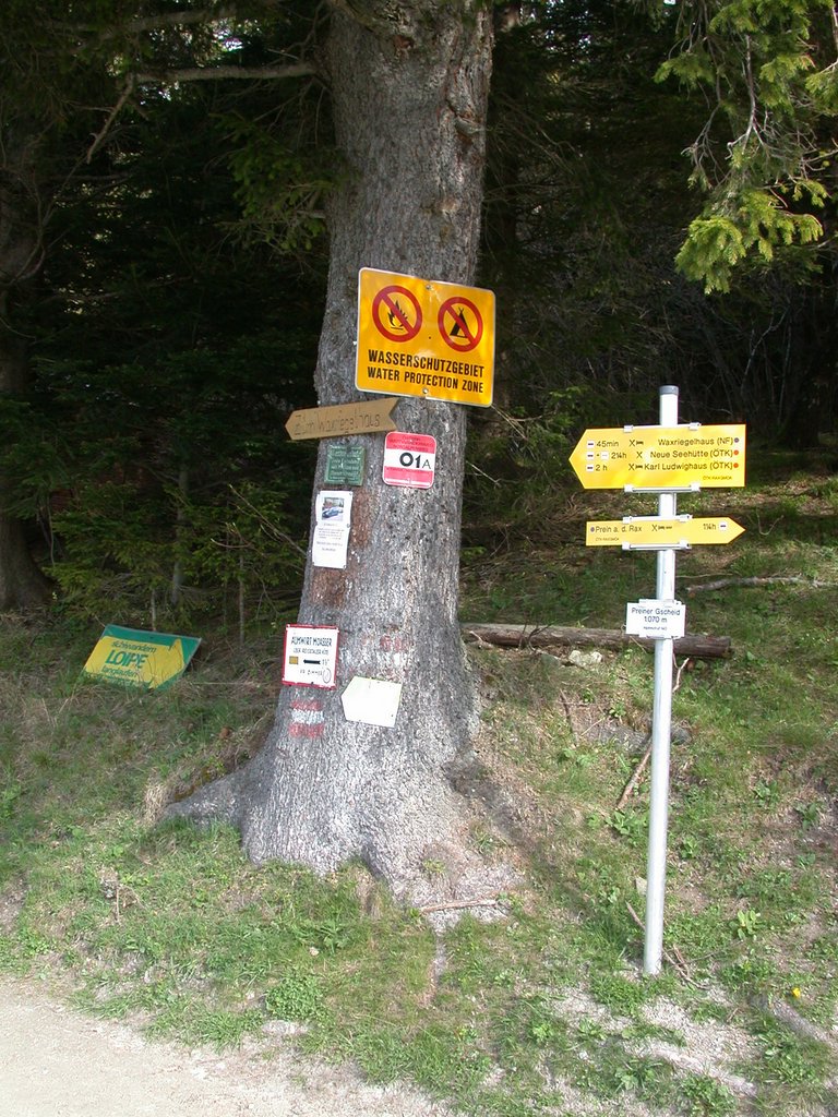 DSCN5221.JPG