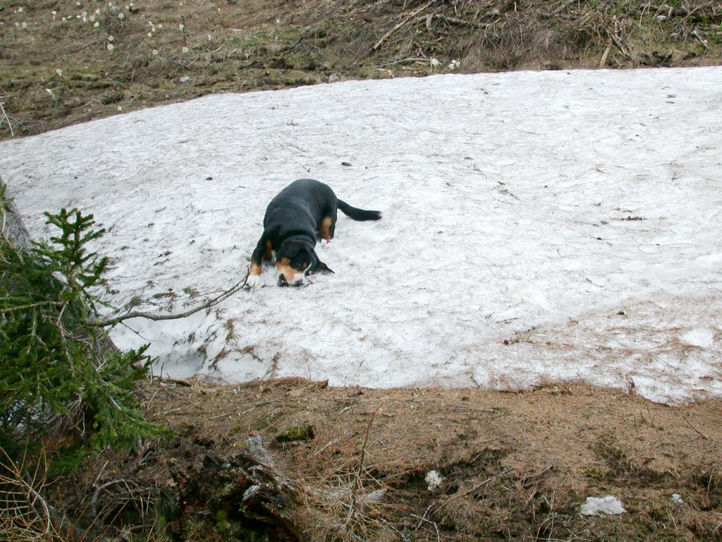 DSCN5223.JPG