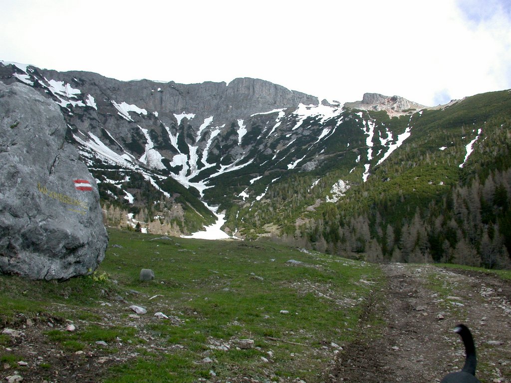 DSCN5225.JPG