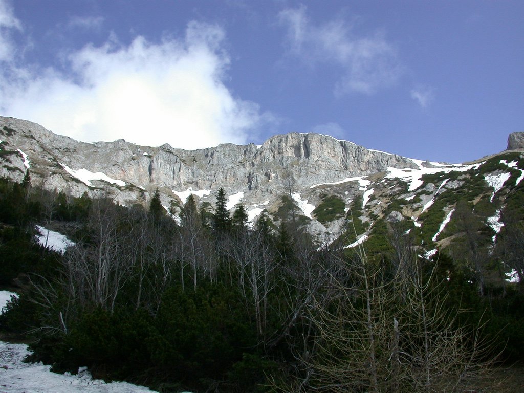 DSCN5227.JPG
