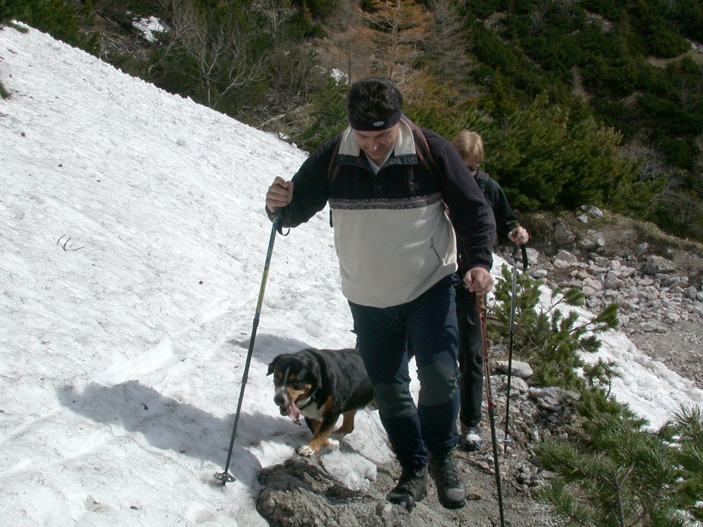 DSCN5233.JPG