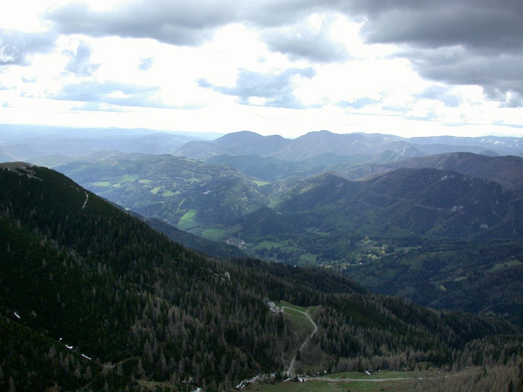 DSCN5235.JPG
