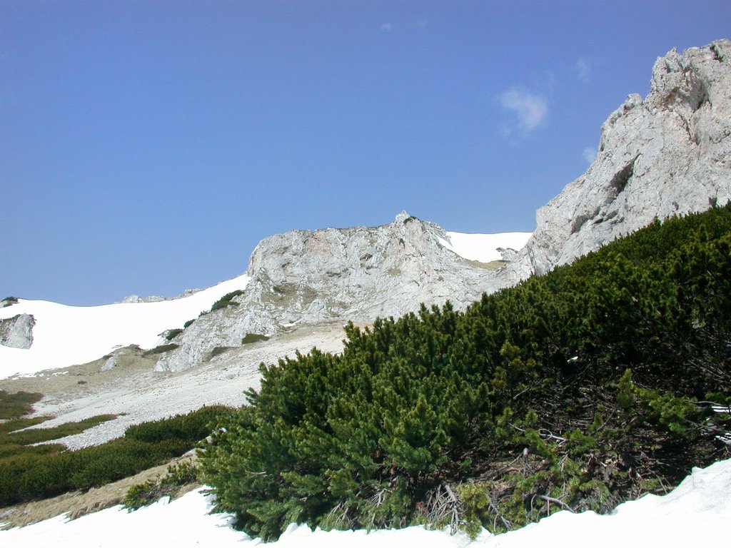 DSCN5238.JPG