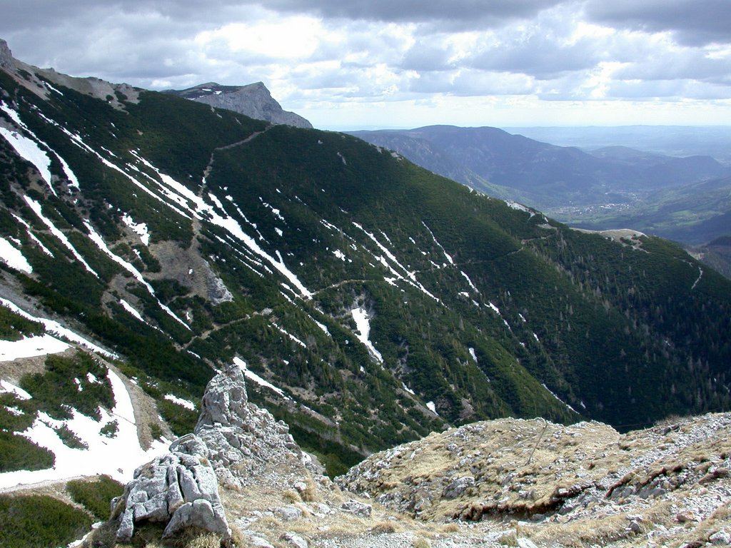 DSCN5248.JPG