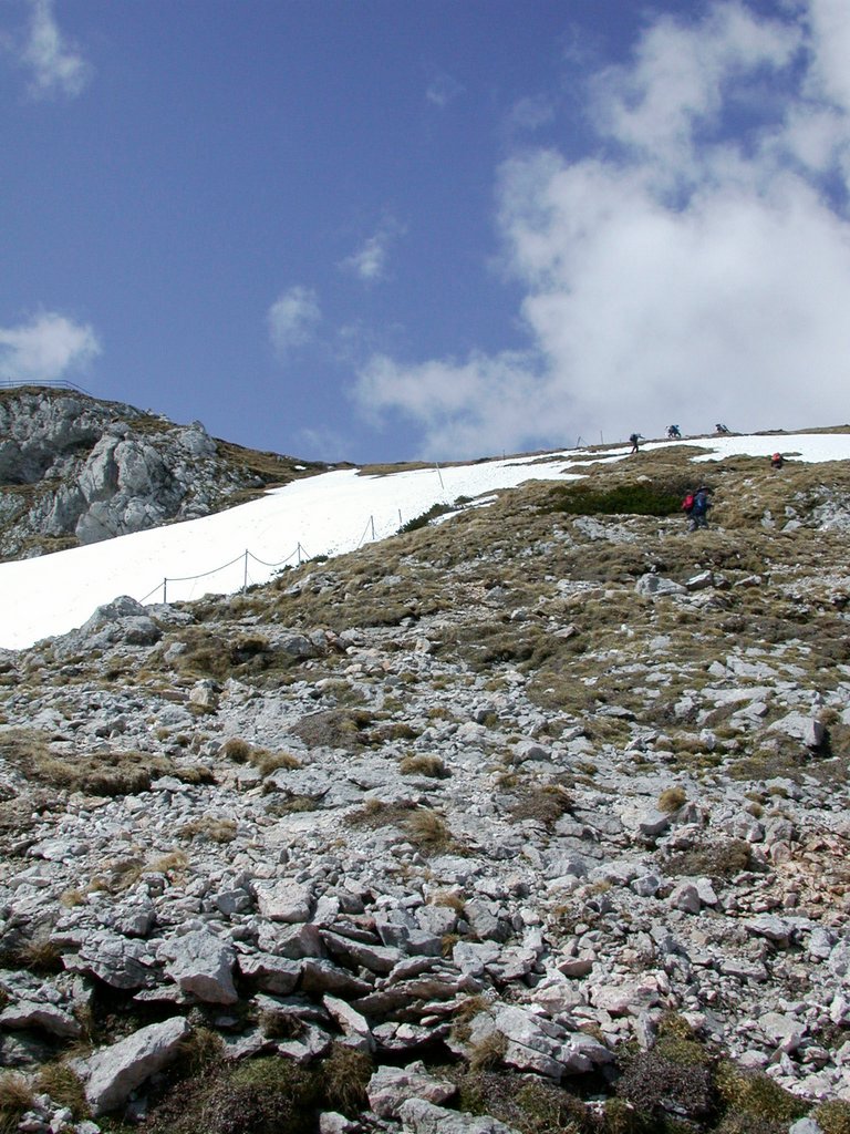 DSCN5252.JPG