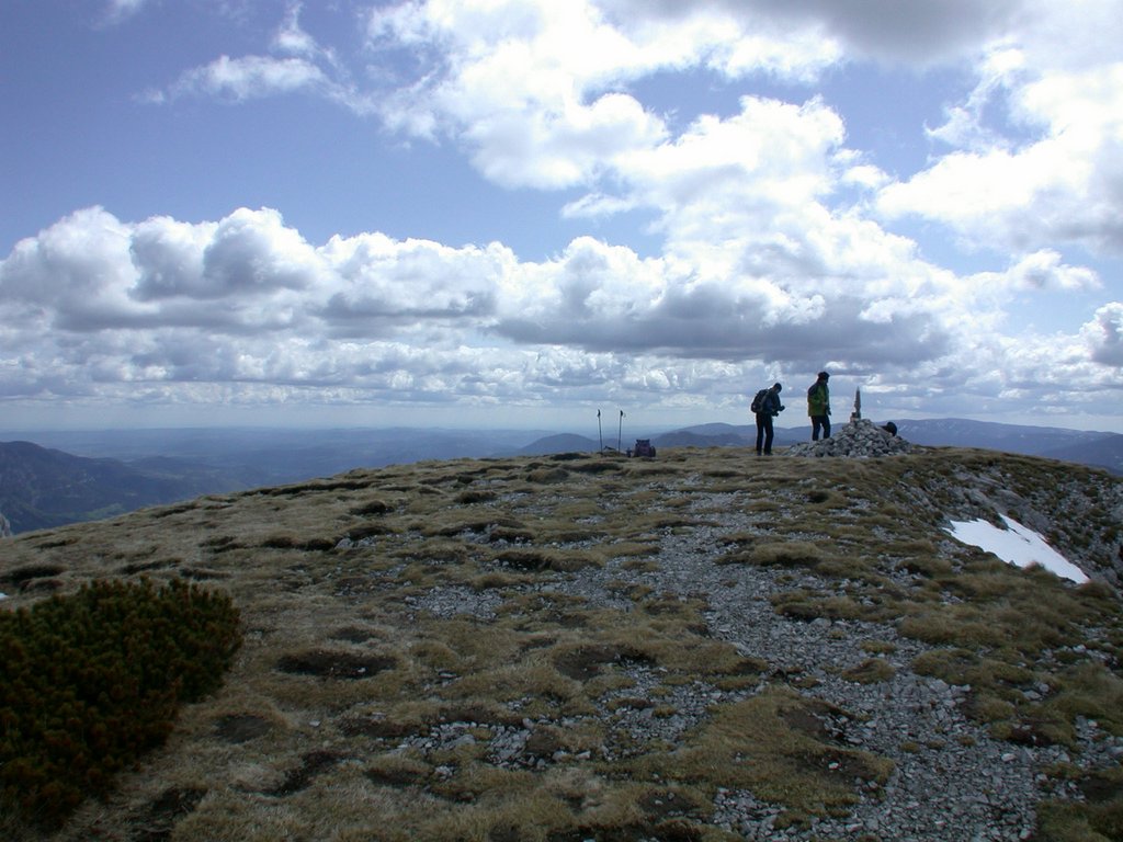 DSCN5275.JPG