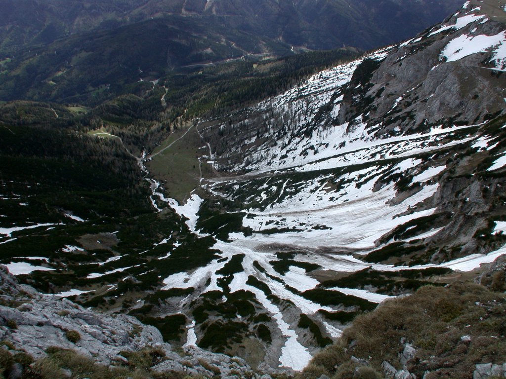 DSCN5278.JPG