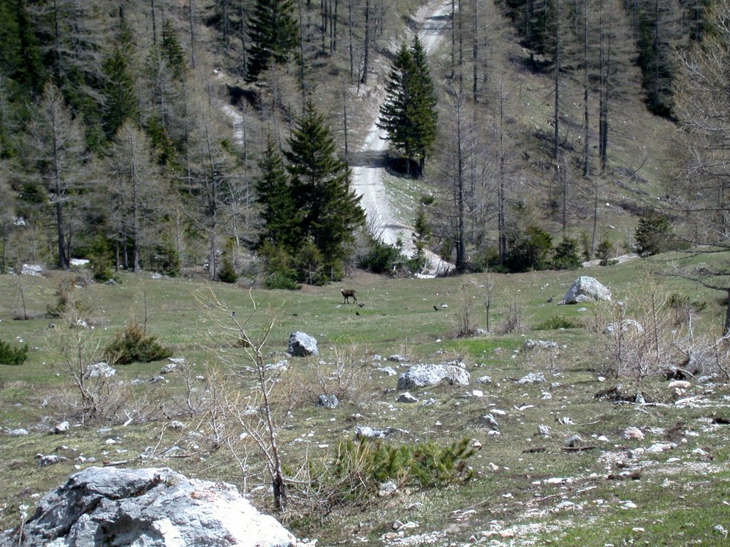 DSCN5313.JPG