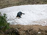 DSCN5223.JPG