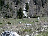 DSCN5313.JPG