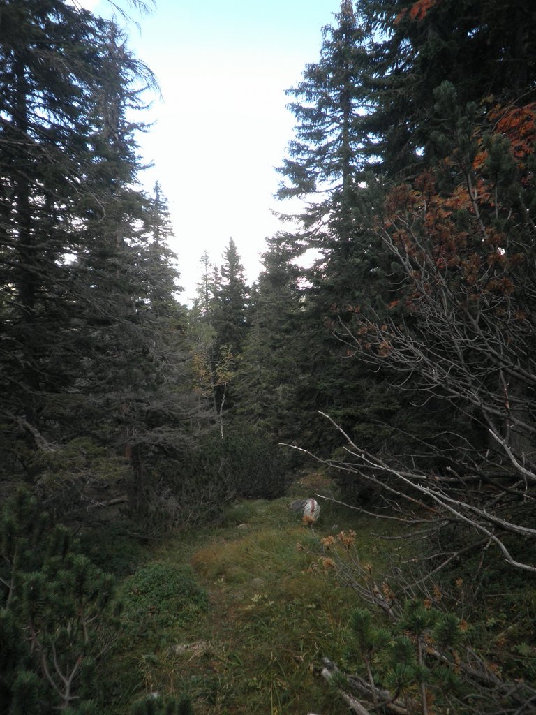 P9270051.JPG