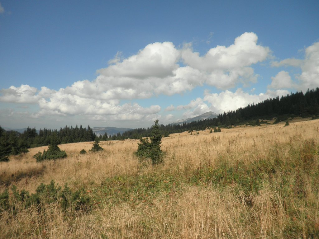 P9270064.JPG