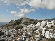 P9270019.JPG