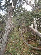 P9270050.JPG