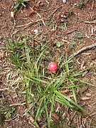 P9270052.JPG
