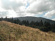 P9270063.JPG