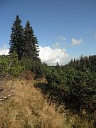 P9270068.JPG