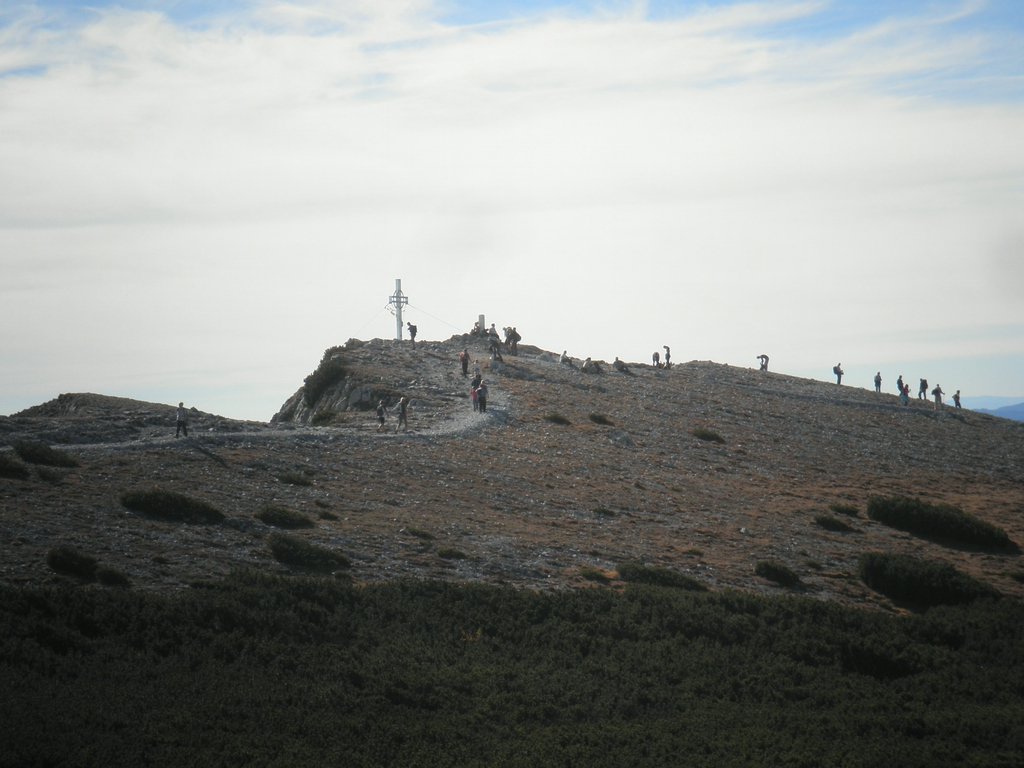 PA200077.JPG